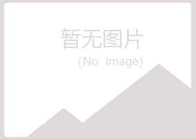 平坝县之桃能源有限公司